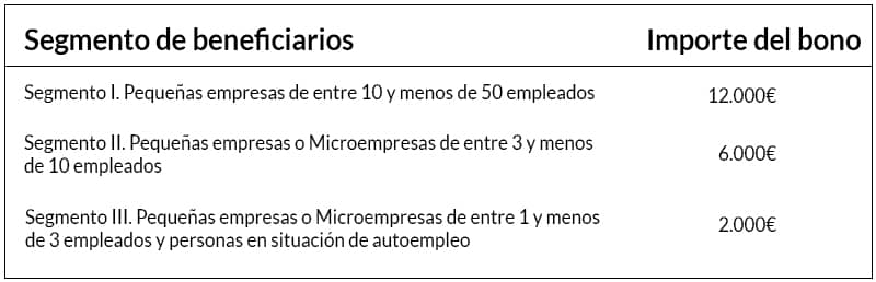 Segmentos beneficiarios kit digital