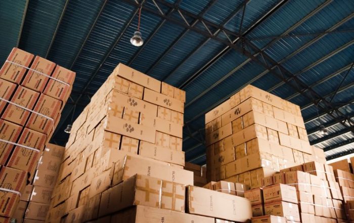 erp distribución daemon4